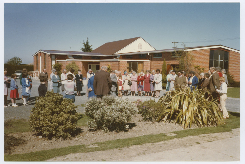 Planting of a kauri tree