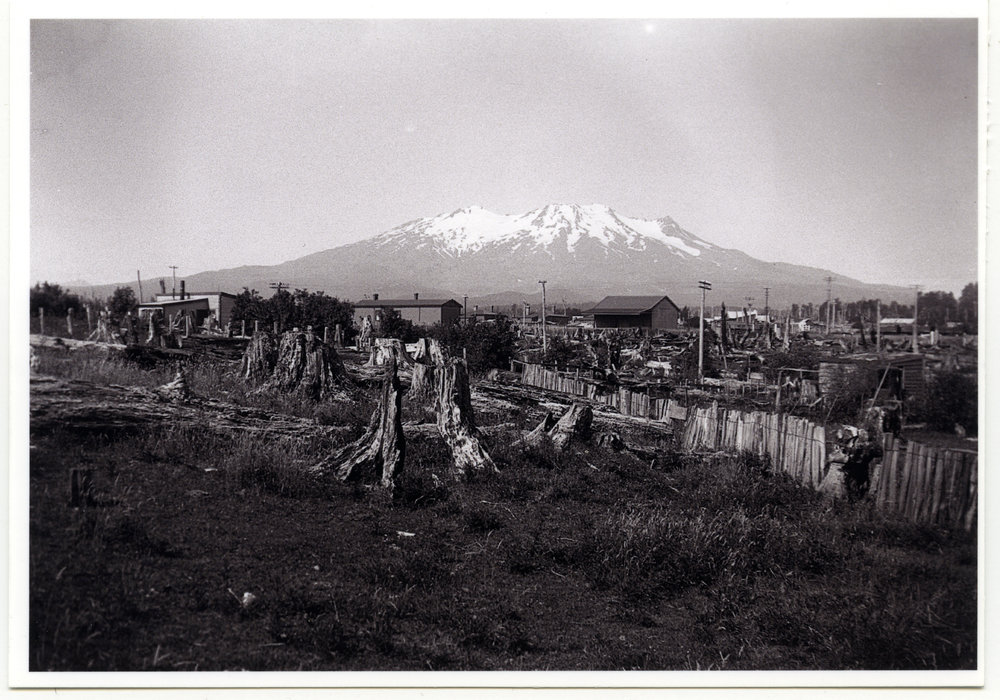 Horopito, looking east
