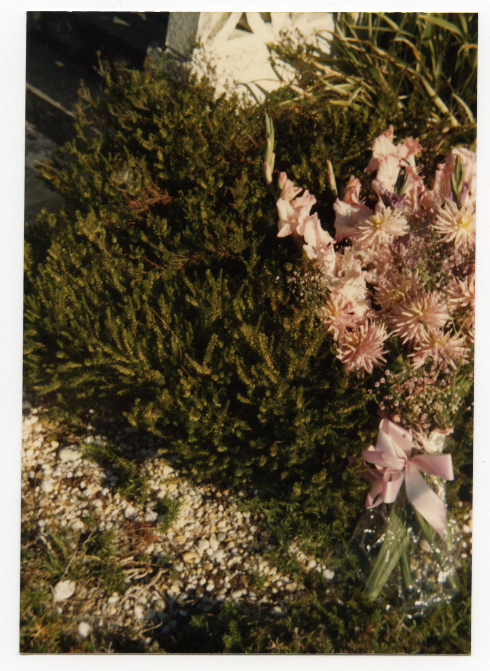 Flowers given to Doris McLean