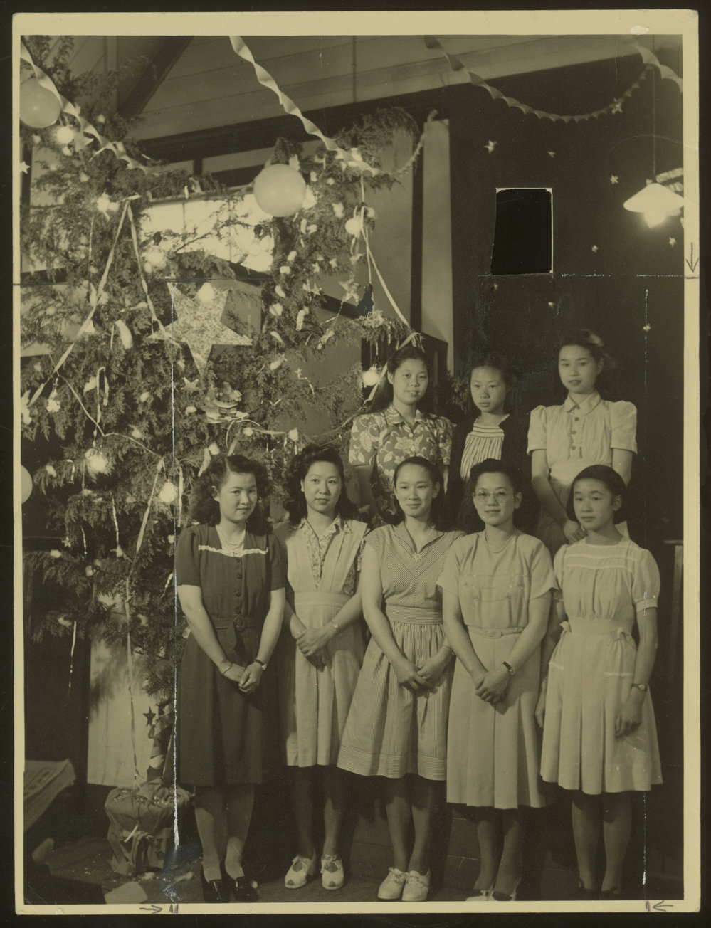 Auckland Chinese Church Christmas tree