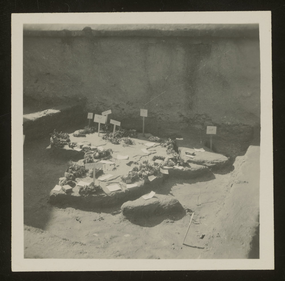 'Sand Map' Of Africa.