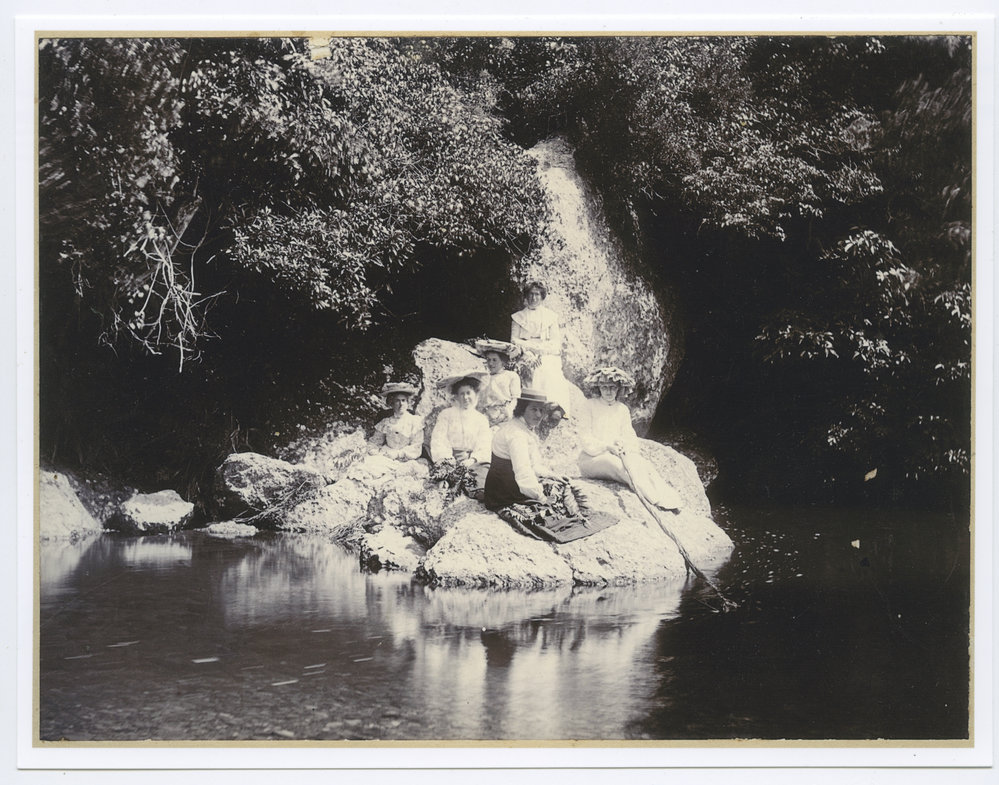 Picnic at Shag River