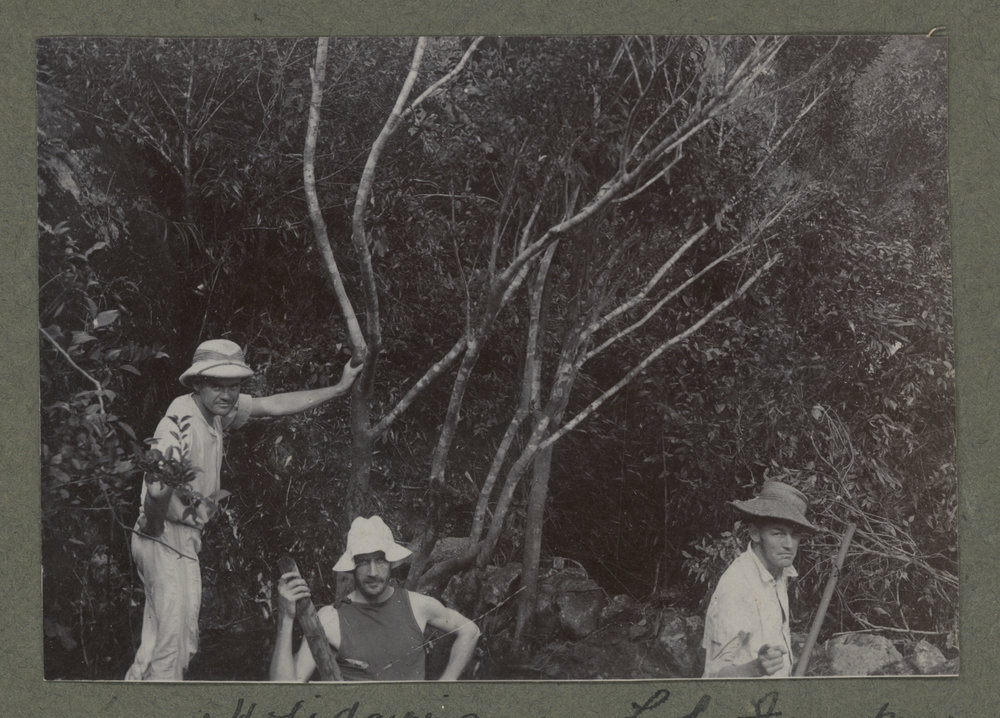 Holidaying On Loh Fau Mountain