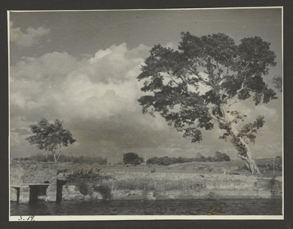 Rural Scene