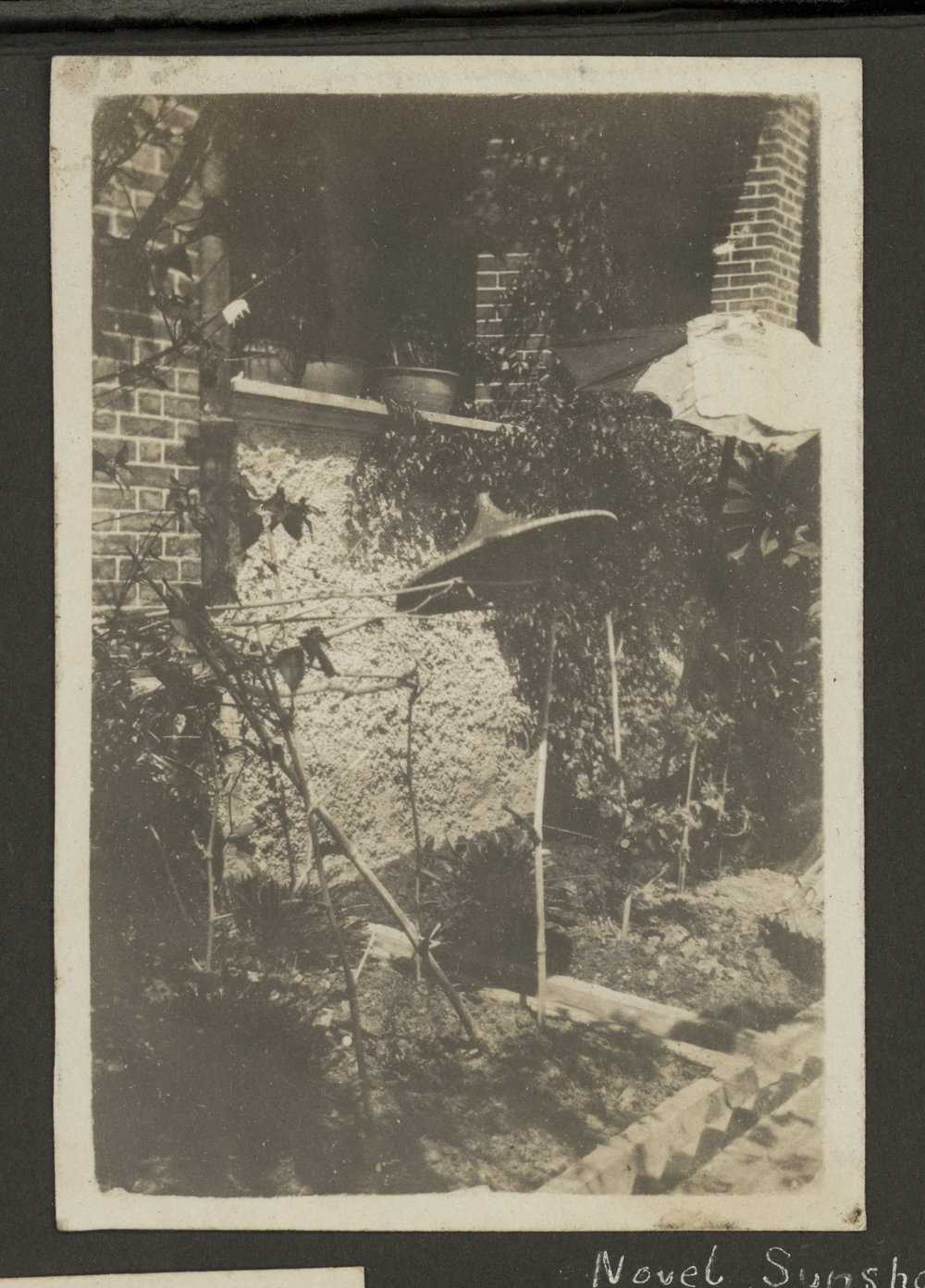 A Garden Plot