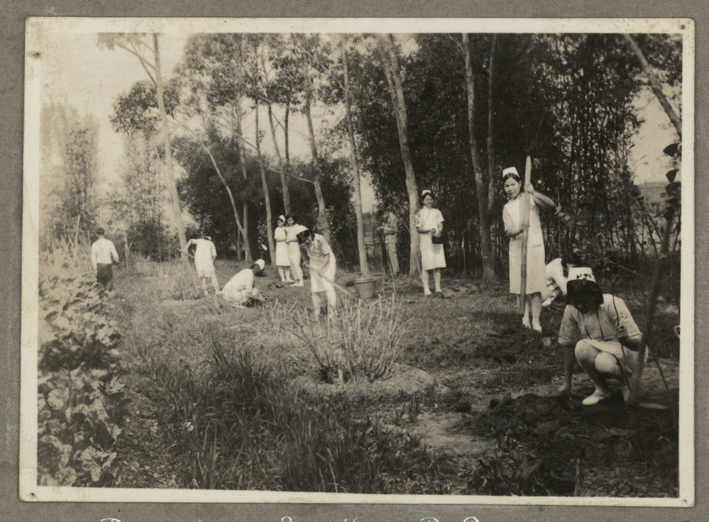 Gardening
