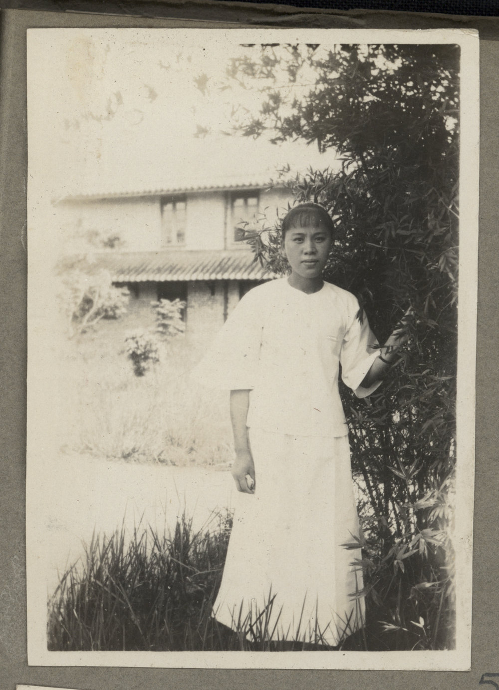 Lam Ye Koo