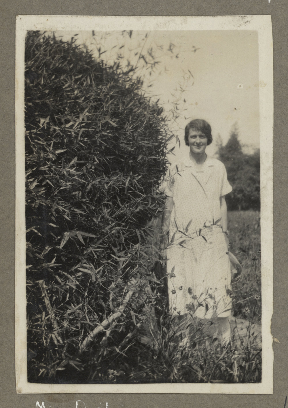 Miss F G Ogilvie