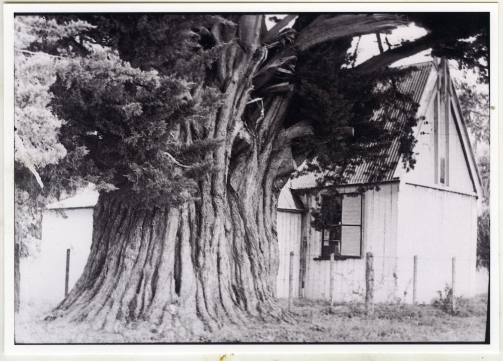 Matawhero Church