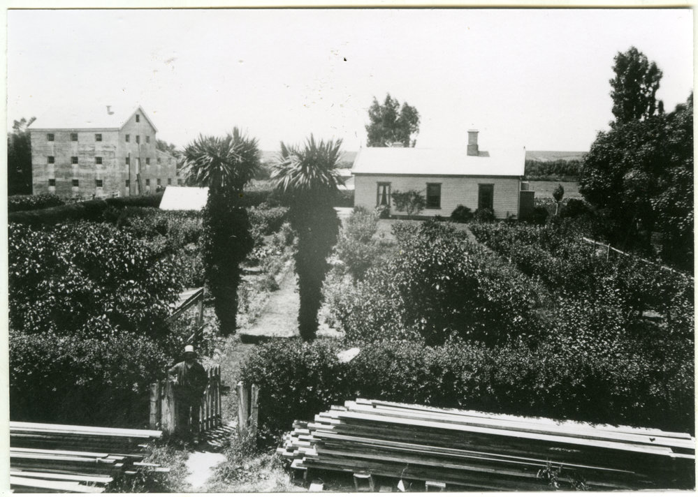 Otautau Mill, Eventide, 1900