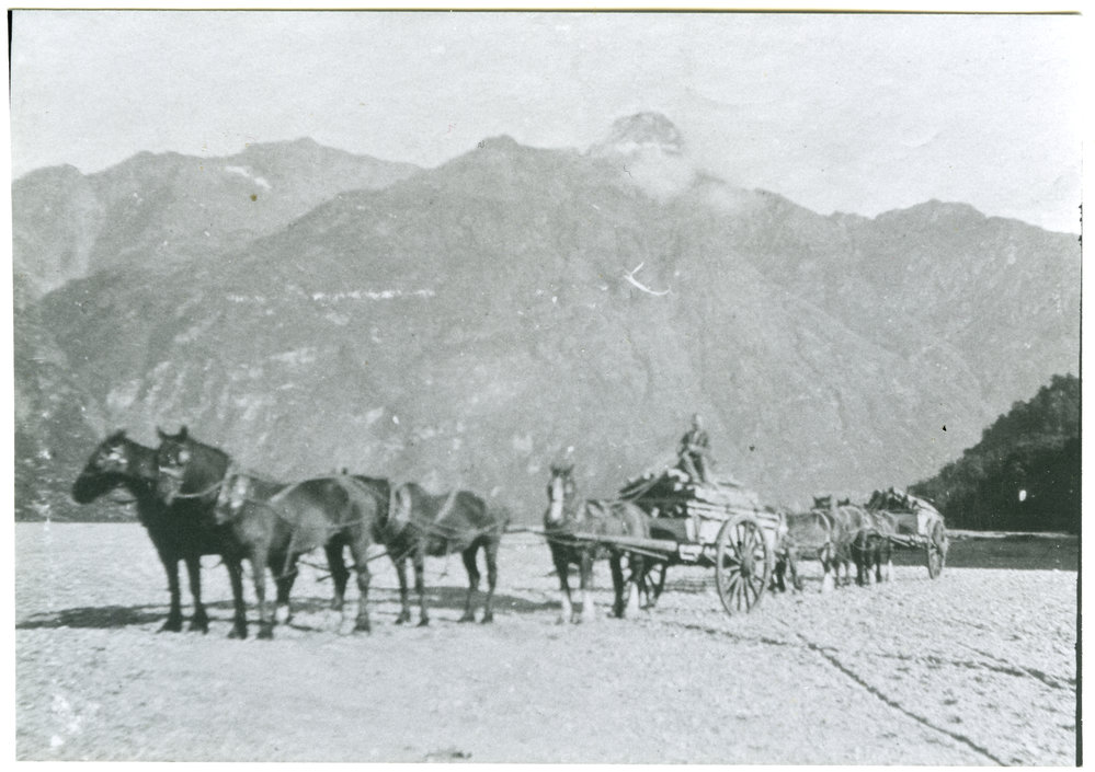 Horses pull carts by a river