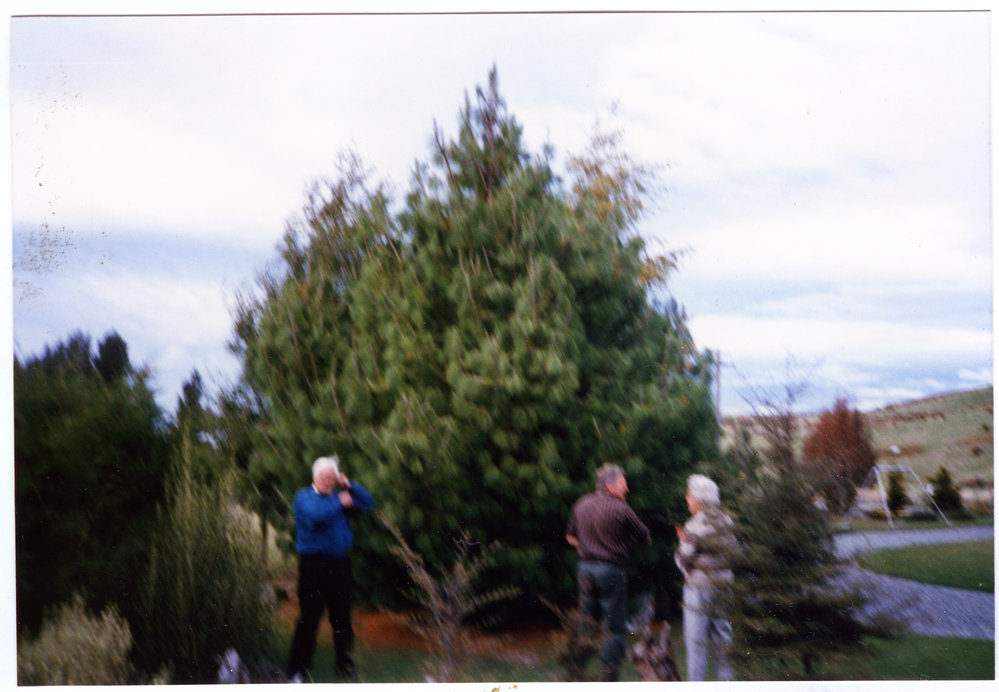 John and Jean Glazehood and Tony M, Te Anau, 1988