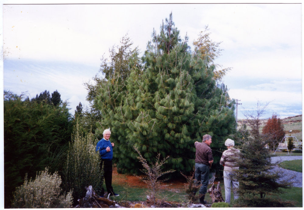John and Jean Glazehood and Tony H, Te Anau, 1988