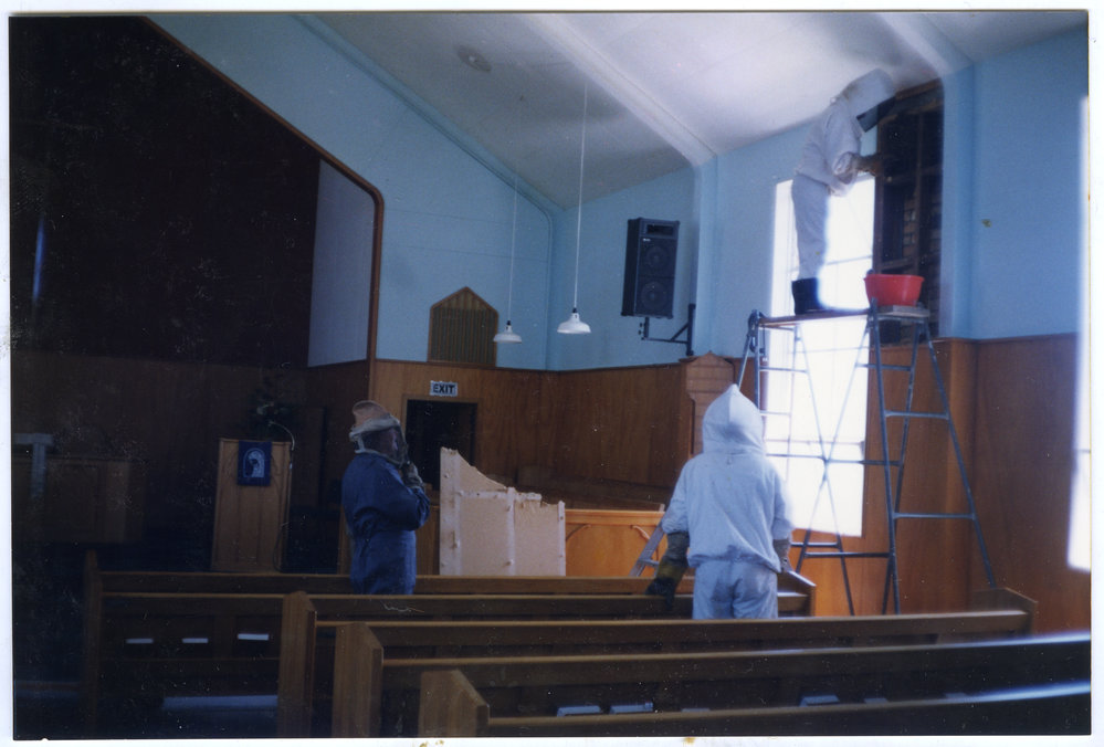 "The Bee Story," St. Enoch's Church