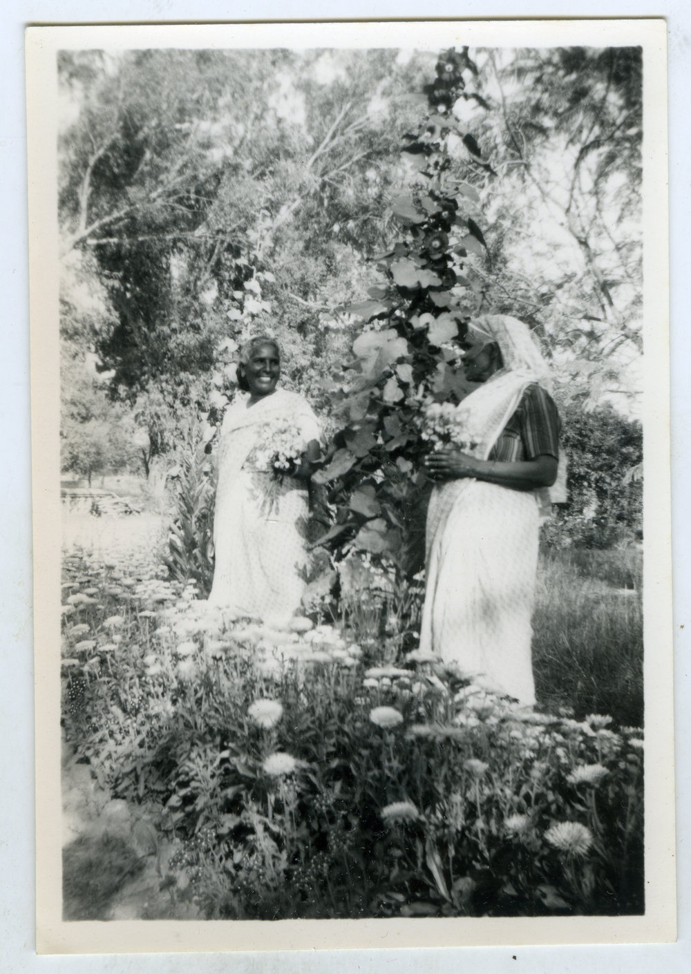 Two unidentified Indian women in the garden