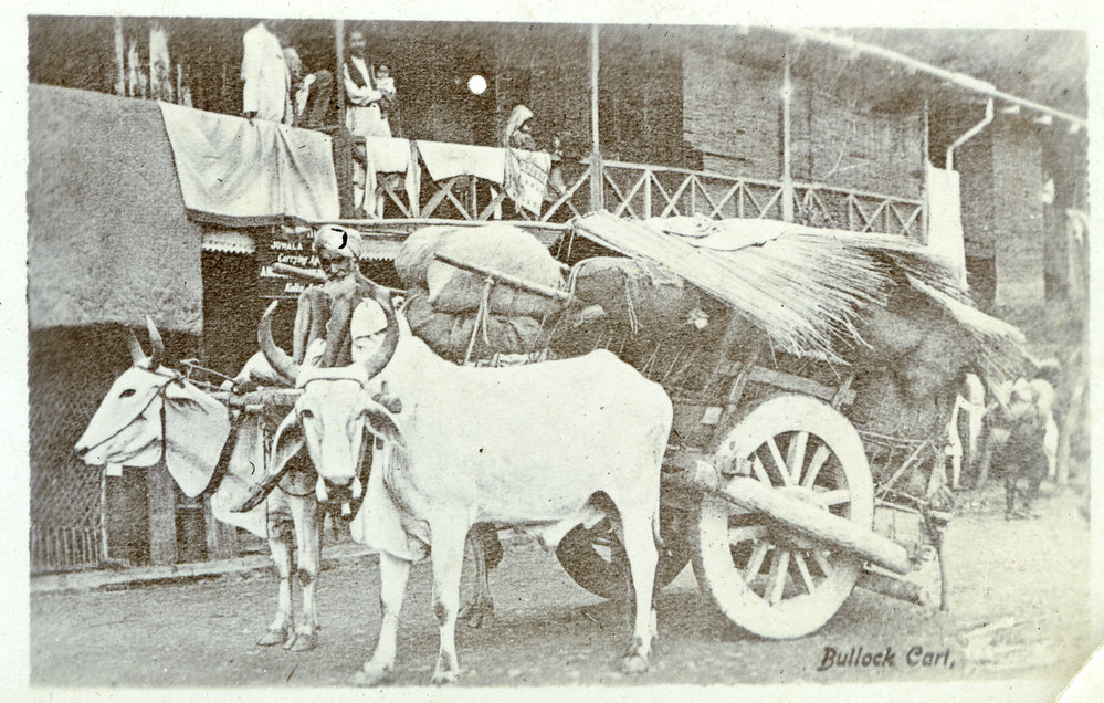 Bullock cart