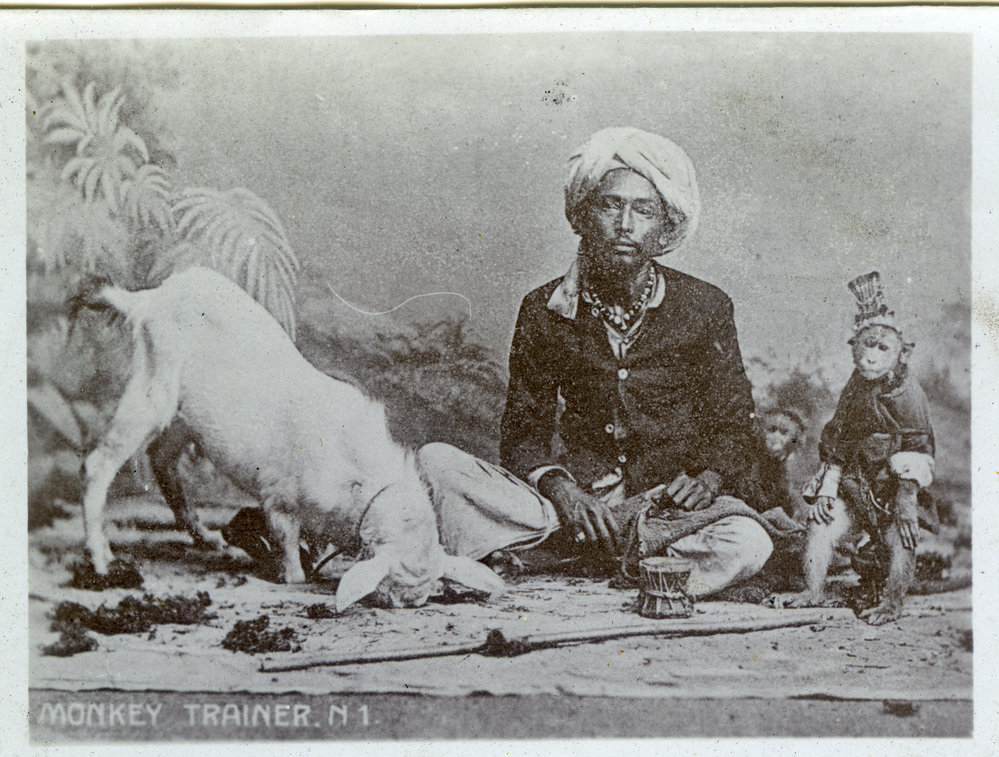 Monkey trainer
