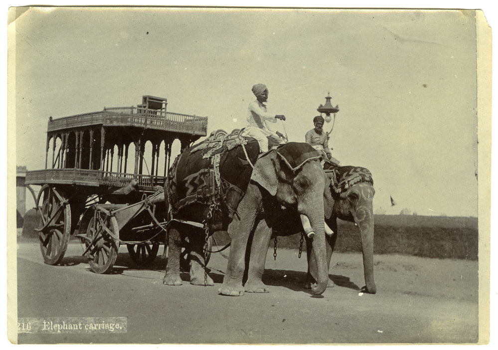 Elephant Carriage