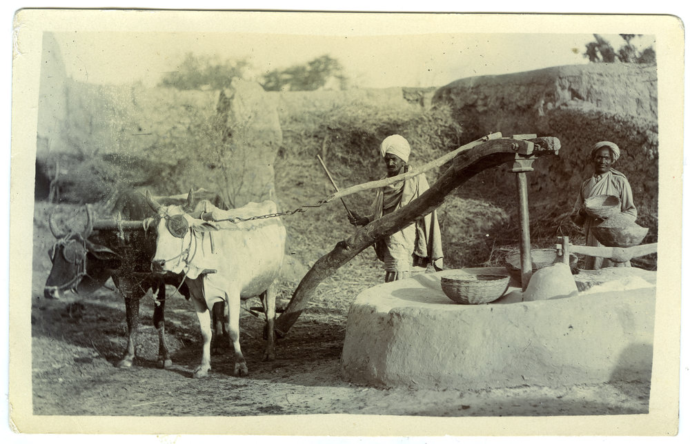 Corn grinding