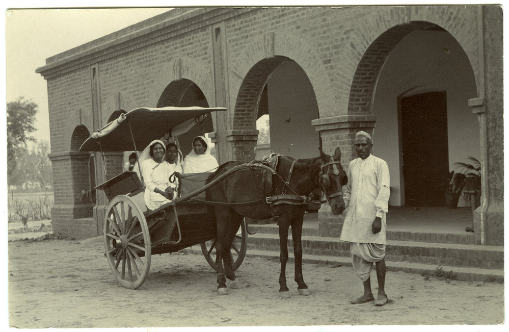 A pony Ekka (cart)