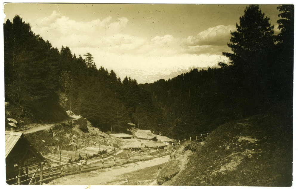 Timberworks near Dalhousie