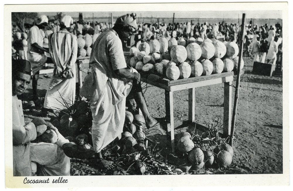 Coconut seller
