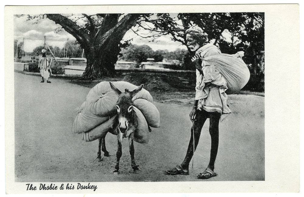 The Dhobie and his donkey