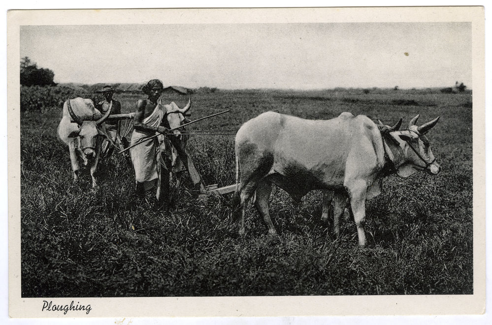 "Ploughing"