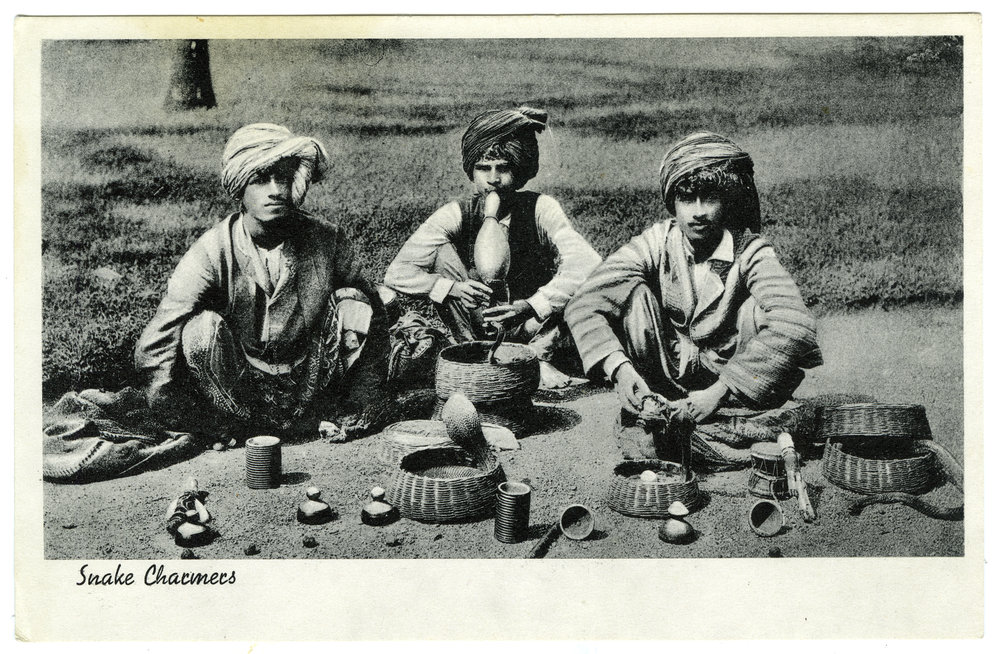 "Snake charmers"