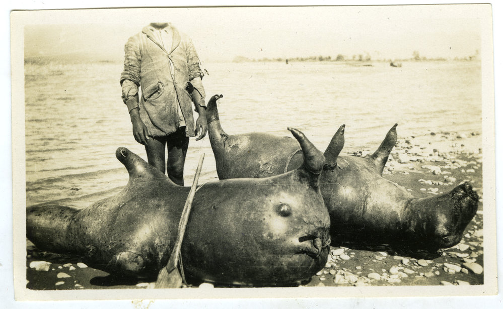 Inflated cow hide floats 