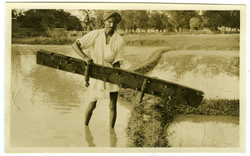 A plank the farmer uses to stir up the mud