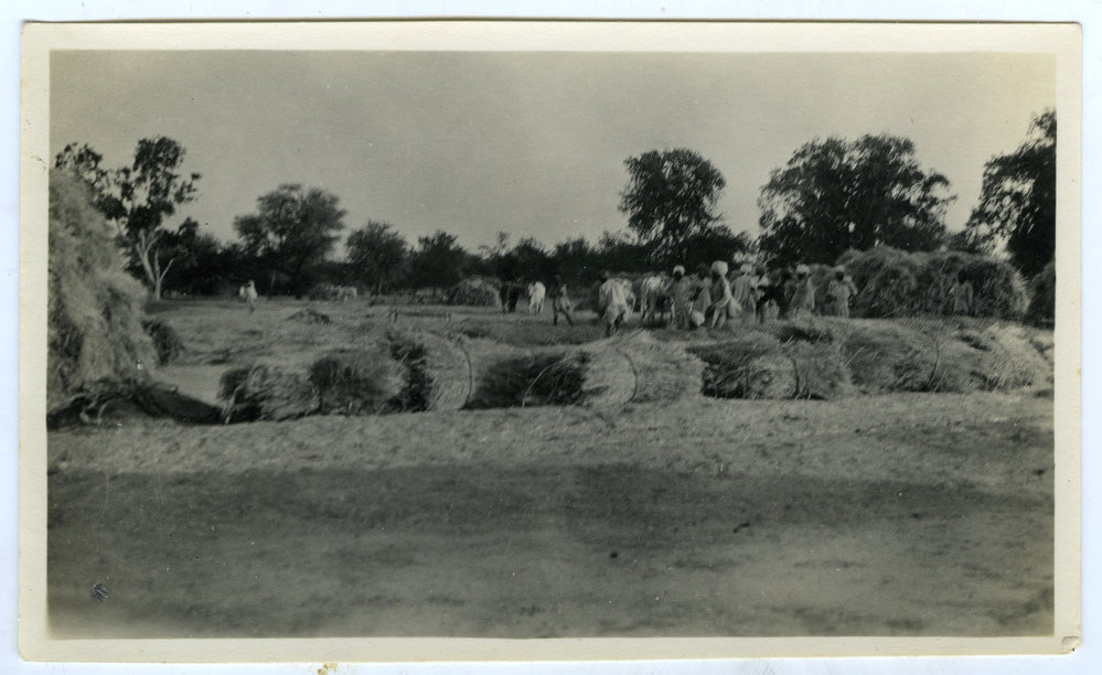 The threshing floor