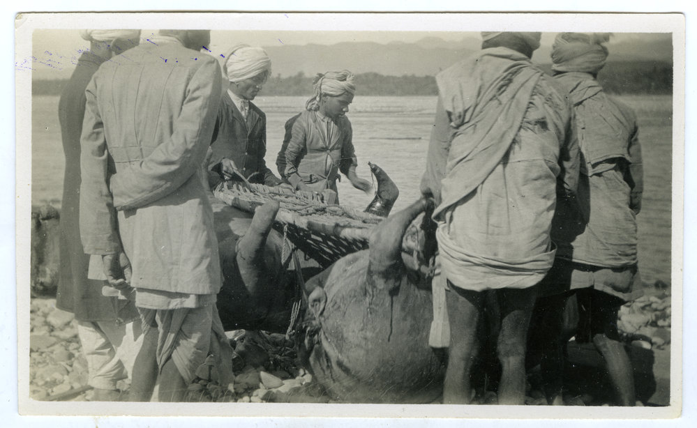 Tying the string bed on the horse floats