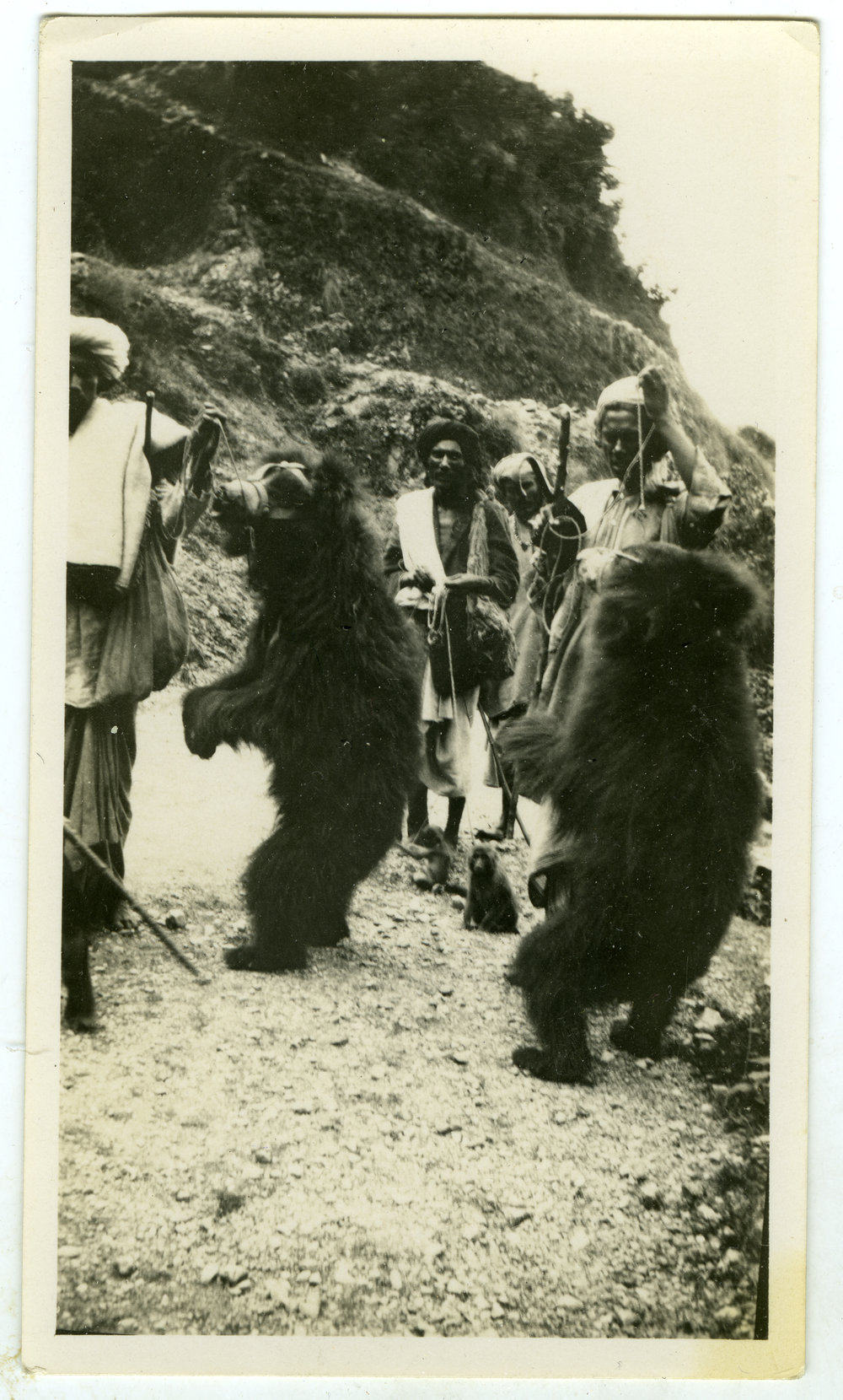 Performing bears