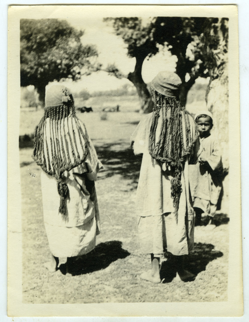 "Kashmir girls (Curds)"