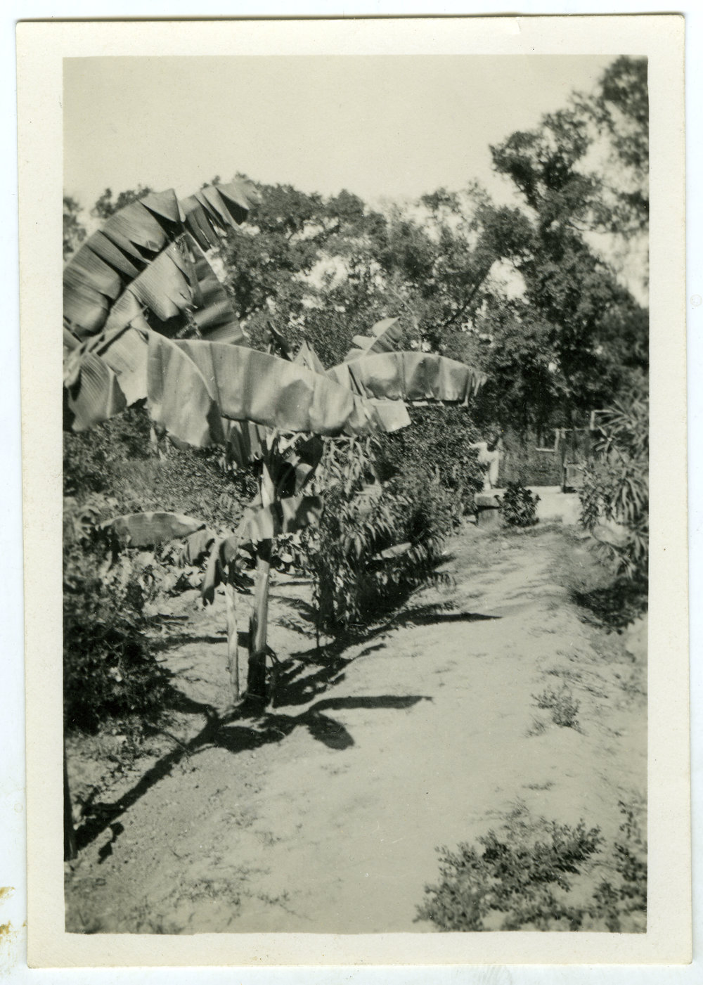 "A corner of our garden"
