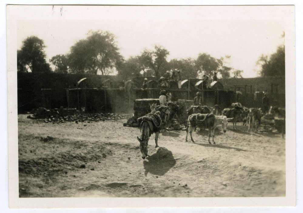 Construction of an unknown building