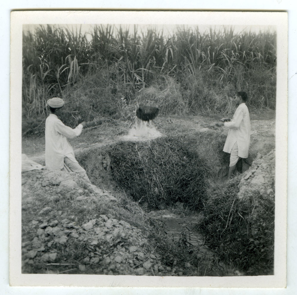 Irrigating the fields