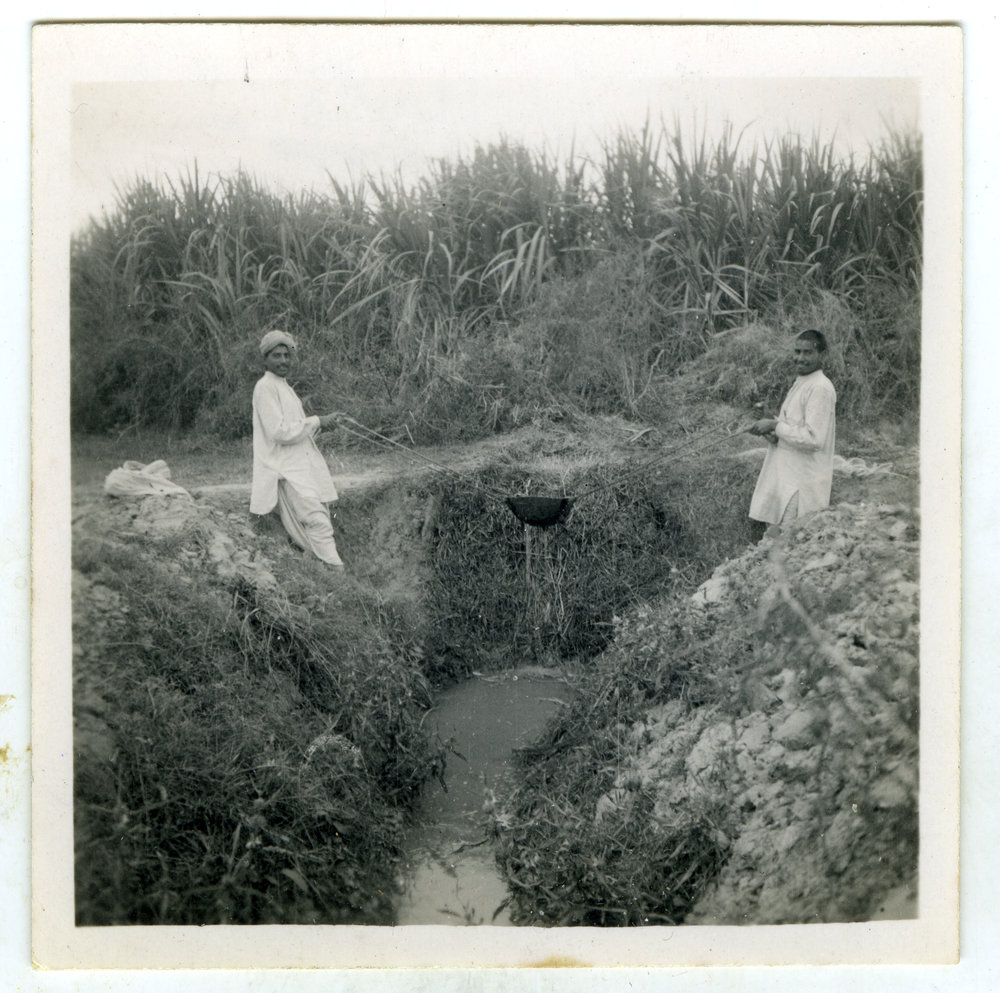 Irrigating the fields 