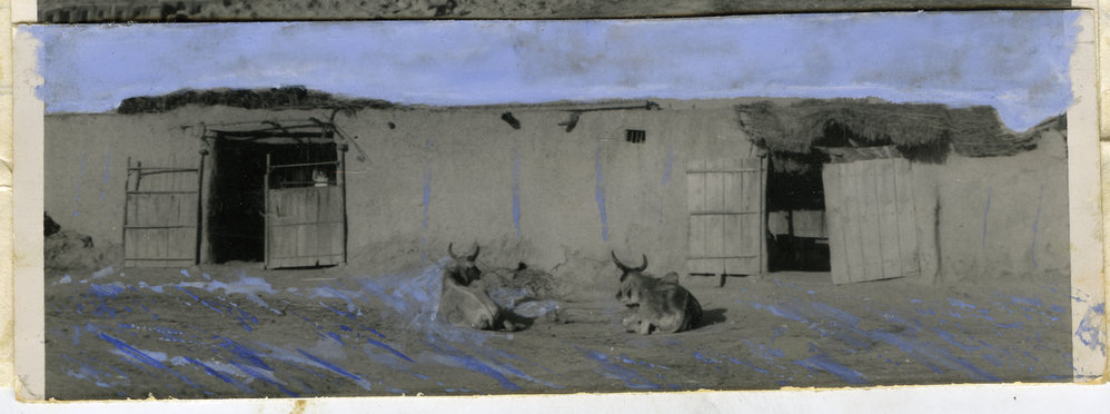 Cattle byre