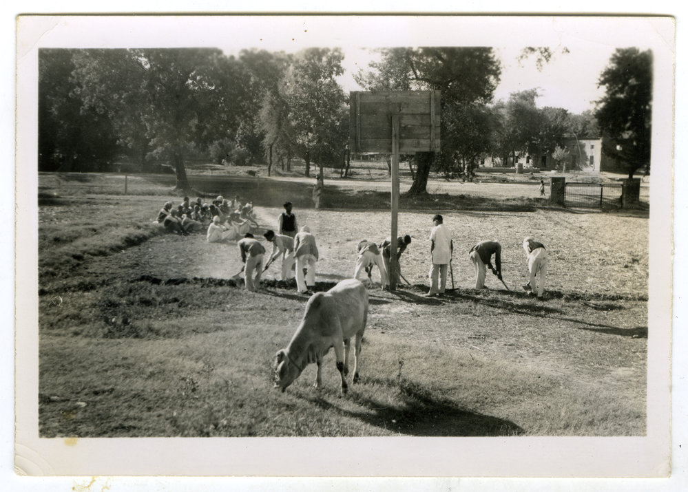 Hoeing ground