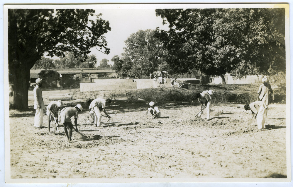 At work on the Kharar High school farm