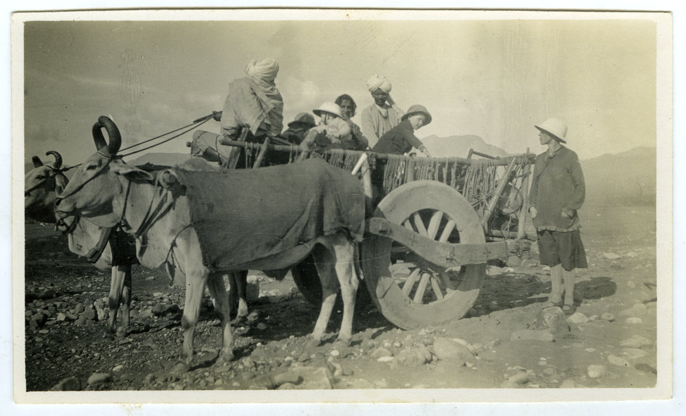Travelling by bullock wagon