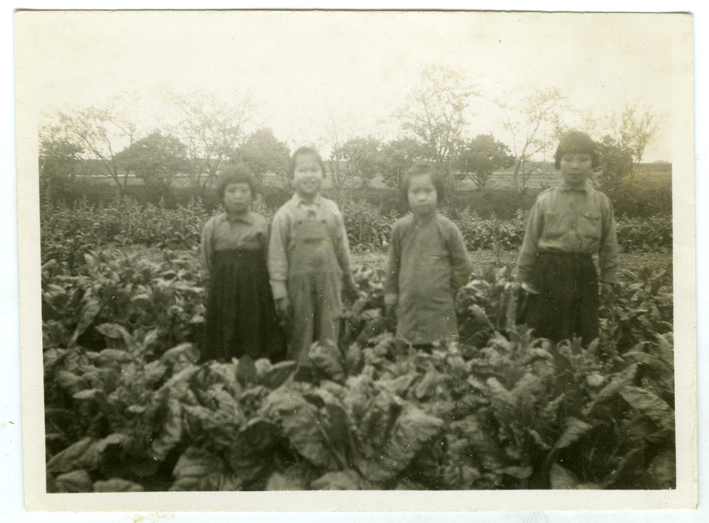 Kong Cheun Orphanage vegetable garden