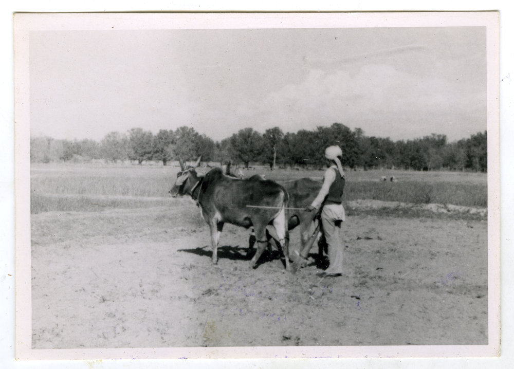 "Learning to plough," Kharar Boys' High School