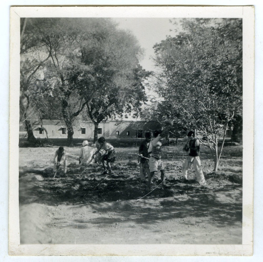 "At work in the school garden," Kharar Boys' High School
