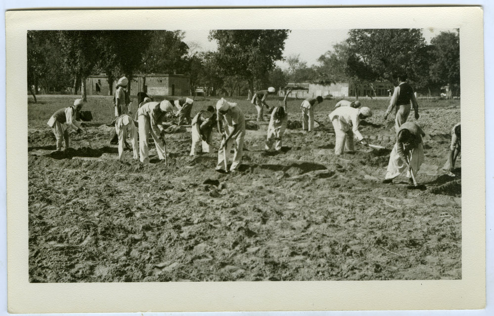 Hoeing ground, Kharar Boys' High School