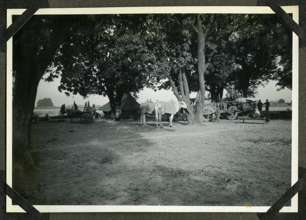 "Moving day - packing the carts"