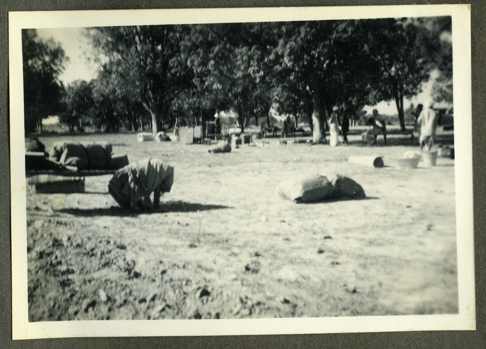 "Moving day - packing the carts"