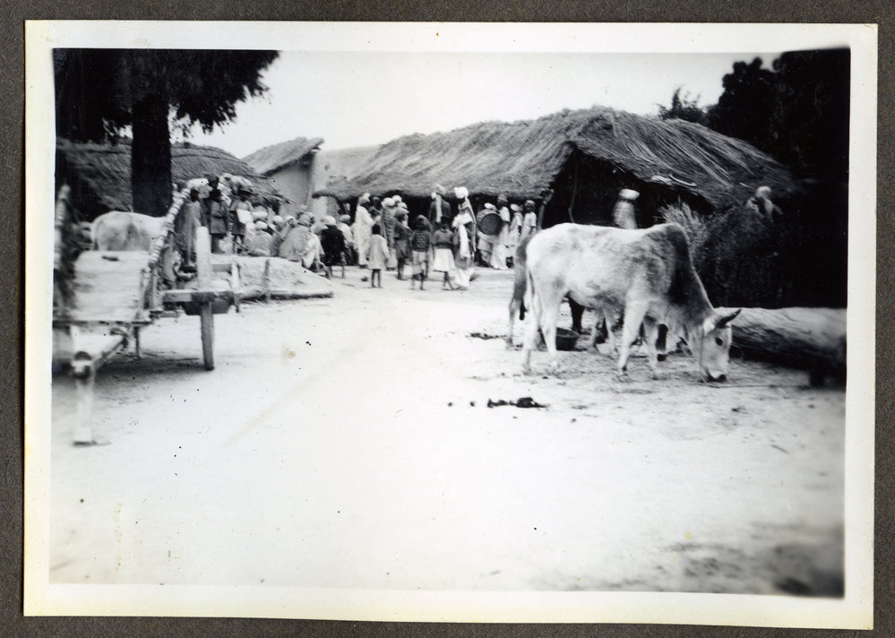 "The Christian Houses - Milah"